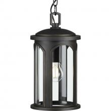 Progress P550050-020 - P550050-020 1-75W MED HANGING LANTERN