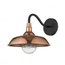 Acclaim Lighting 1742CO - Burry 1-Light Copper Wall Light