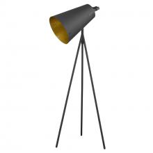 Acclaim Lighting TF70036BK - Faza 1-Light Matte Black Floor Lamp