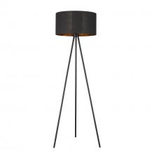 Acclaim Lighting TF70095BK - Morenci 1-Light Matte Black Floor Lamp