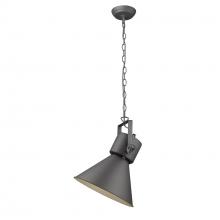 Acclaim Lighting TP10026GY - Crew 1-Light Gray Pendant