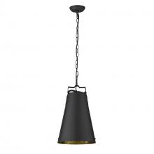 Acclaim Lighting TP10035BK - Faza 1-Light Matte Black Pendant