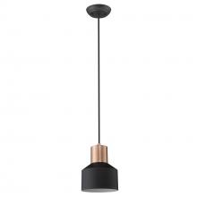 Acclaim Lighting TP30065BK - Ingo 1-Light Matte Black Pendant