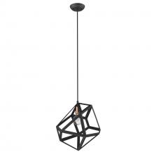 Acclaim Lighting TP30081BK - Hedron 1-Light Matte Black Pendant