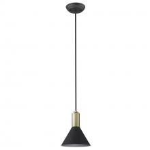 Acclaim Lighting TP30101BK - Ingo 1-Light Matte Black Pendant