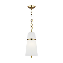 Visual Comfort & Co. Studio Collection AP1161BBS - Small Pendant