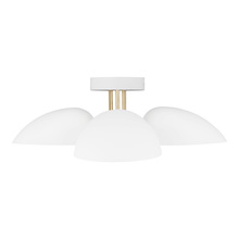 Visual Comfort & Co. Studio Collection EF1023MWT - Semi-Flush Mount