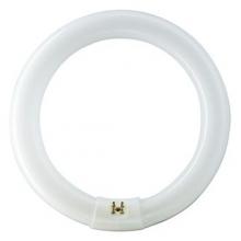 Signify Lamps - Canada 409599 - FC12T9/Daylight Deluxe 12PK
